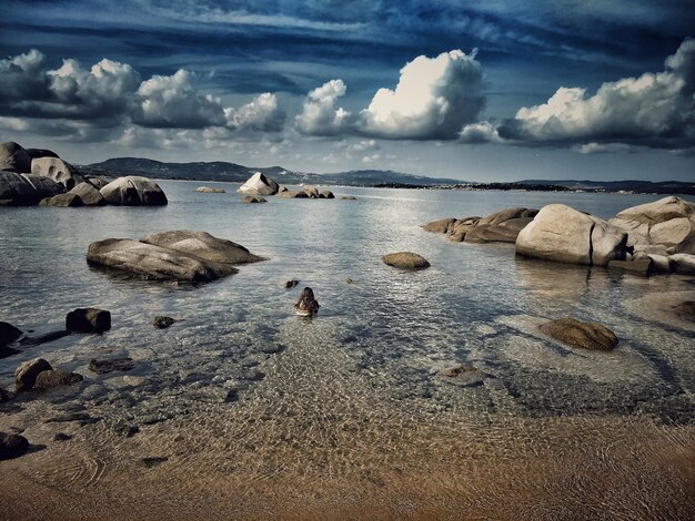 Foto schöner blick auf das meer gegen den himmel