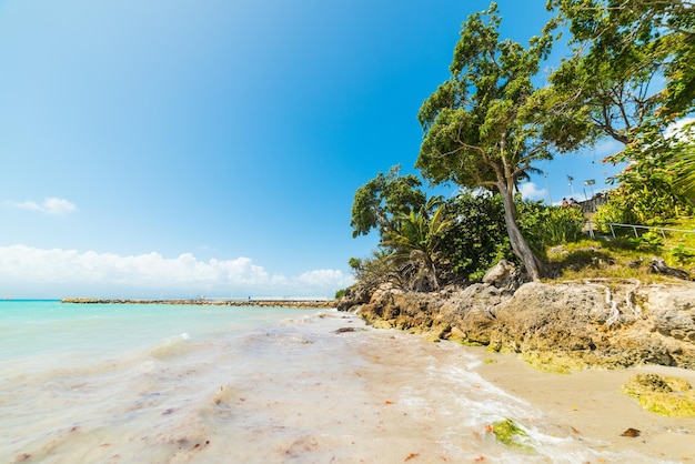 Foto schöner blick auf das meer gegen den himmel