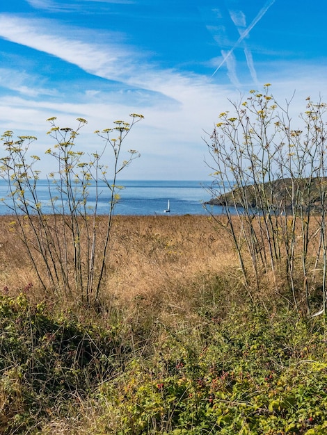 Foto schöner blick auf das meer gegen den himmel