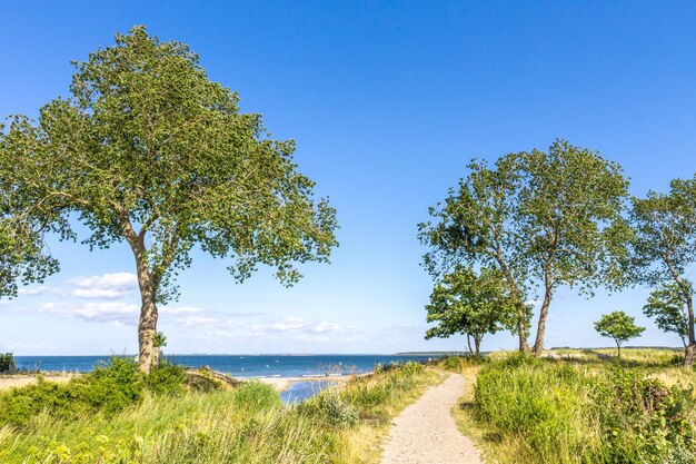 Foto schöner blick auf das meer gegen den klaren blauen himmel