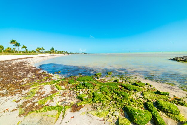 Foto schöner blick auf das meer gegen den klaren blauen himmel