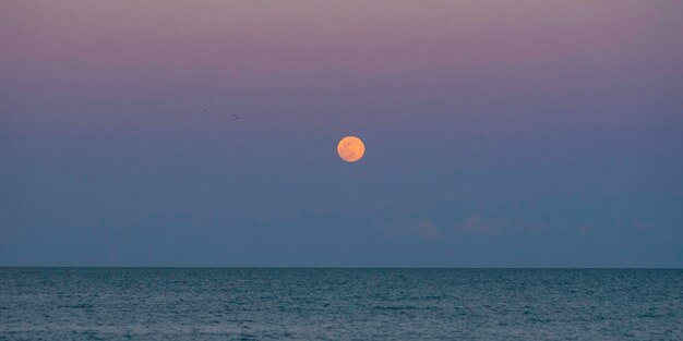 Foto schöner blick auf das meer gegen den nachthimmel