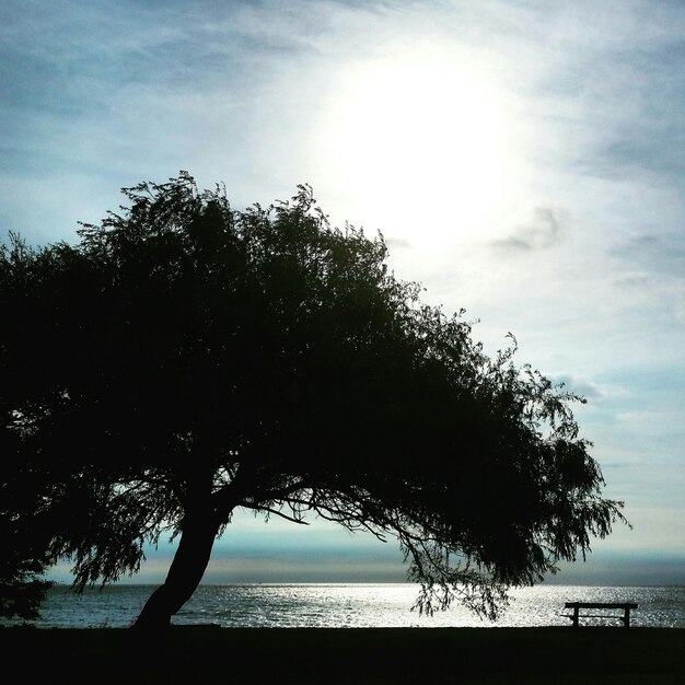 Schöner Blick auf das Meer vor bewölktem Himmel