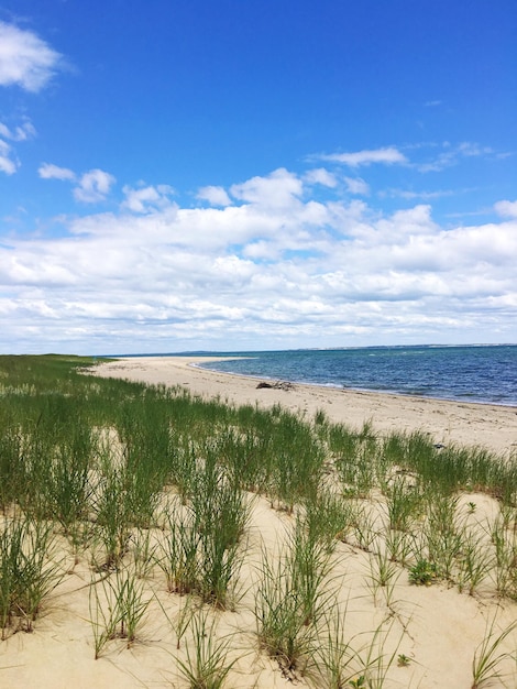 Schöner Blick auf das Meer vor bewölktem Himmel