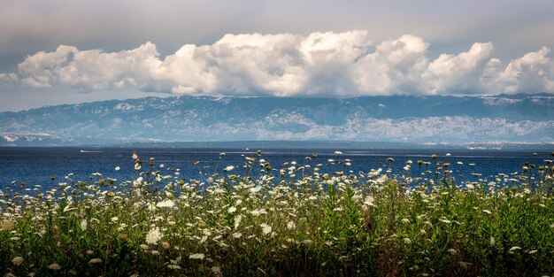 Foto schöner blick auf das meer vor bewölktem himmel