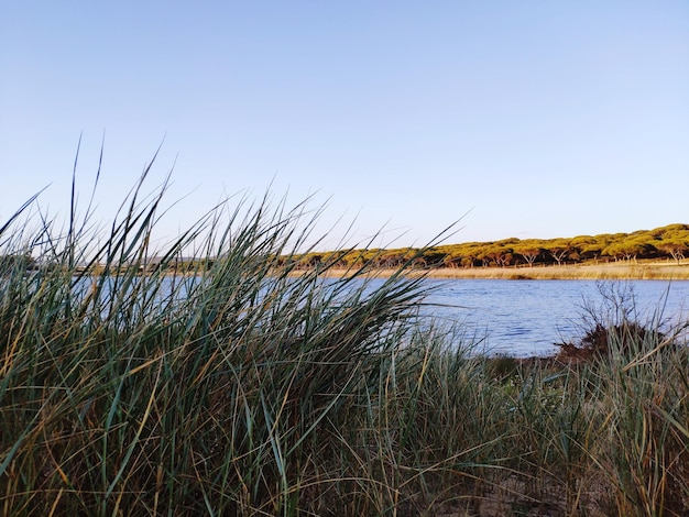 Foto schöner blick auf das meer vor klarem himmel