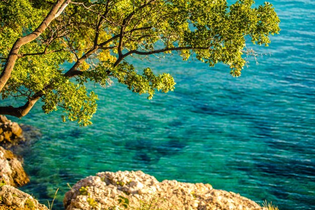 Foto schöner blick auf das meer