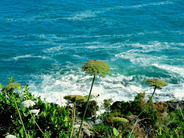 Foto schöner blick auf das meer