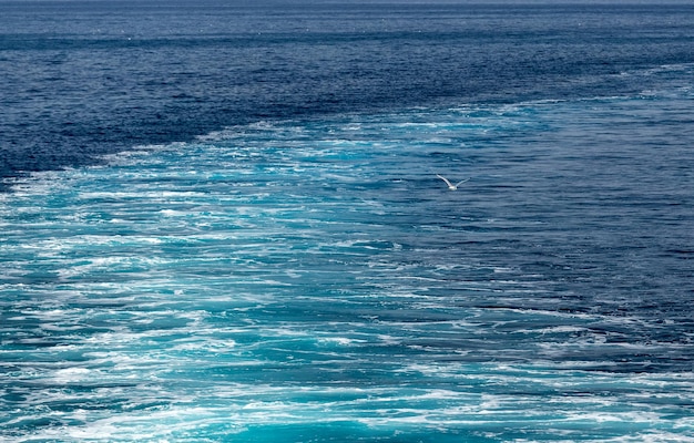 Schöner Blick auf das Meer