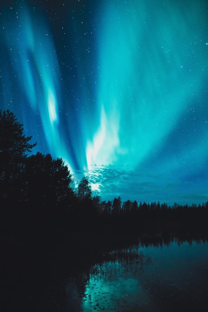 Foto schöner blick auf das nordlicht am nachthimmel