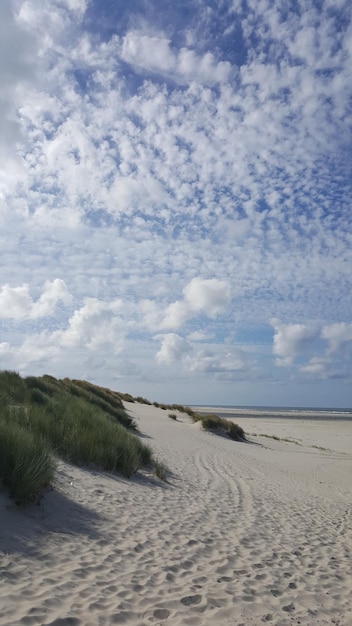 Foto schöner blick auf das ruhige meer