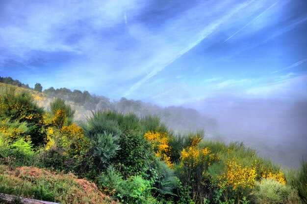 Foto schöner blick auf den berg vor einem bewölkten himmel