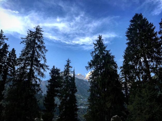 Foto schöner blick auf den bewölkten himmel