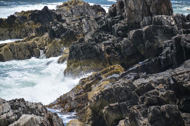 Foto schöner blick auf den felsigen strand