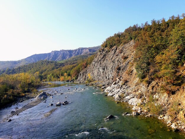 Foto schöner blick auf den fluss inmitten der bäume vor klarem himmel