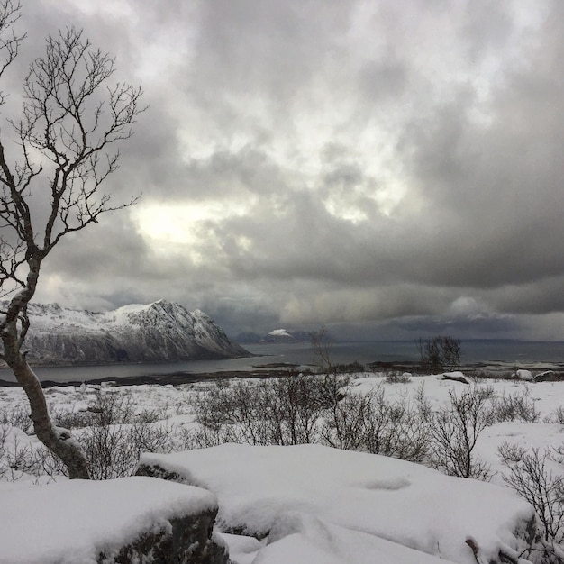 Foto schöner blick auf den gefrorenen see gegen den himmel im winter