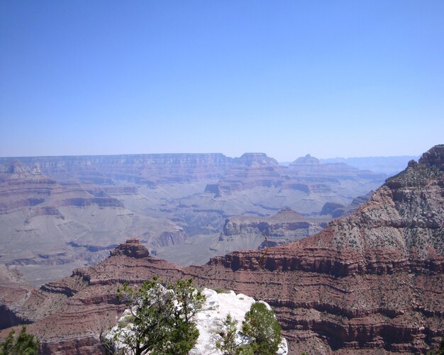 Schöner Blick auf den Grand Canyon vor klarem Himmel