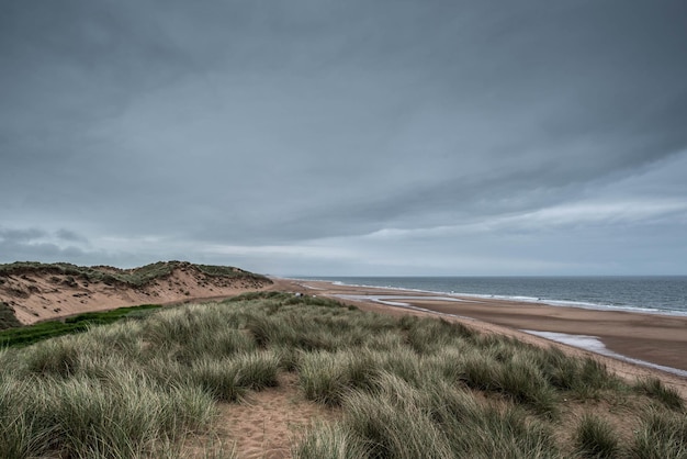 Schöner Blick auf den grasbewachsenen Strand vor bewölktem Himmel