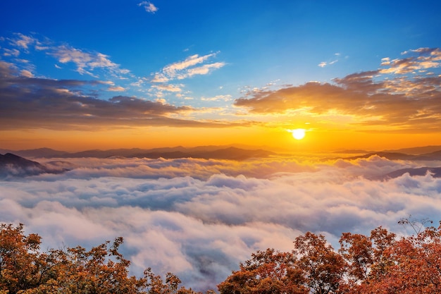 Schöner Blick auf den Himmel beim Sonnenuntergang