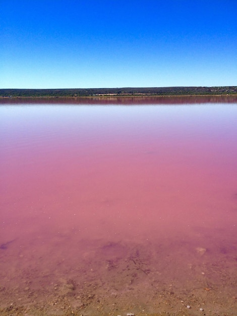 Foto schöner blick auf den rosa see vor klarem himmel