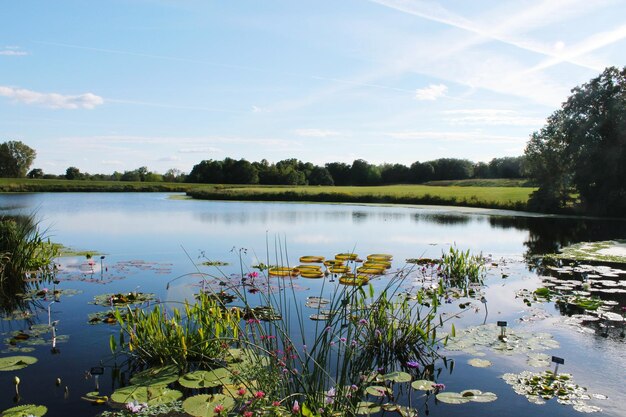 Foto schöner blick auf den ruhigen see gegen den himmel