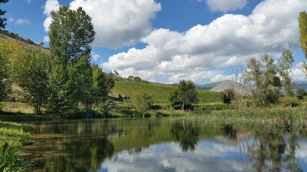 Foto schöner blick auf den ruhigen see vor einem bewölkten himmel