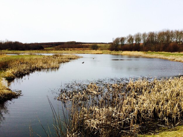 Foto schöner blick auf den ruhigen see