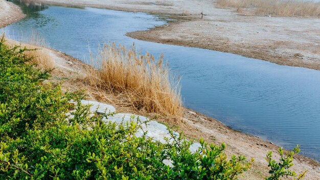 Foto schöner blick auf den ruhigen see