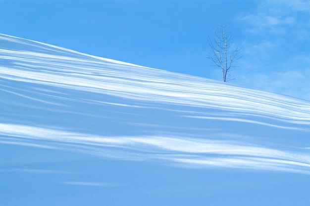 Foto schöner blick auf den schneebedeckten berg gegen den himmel