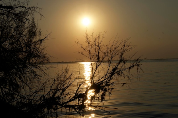 Foto schöner blick auf den see bei sonnenuntergang