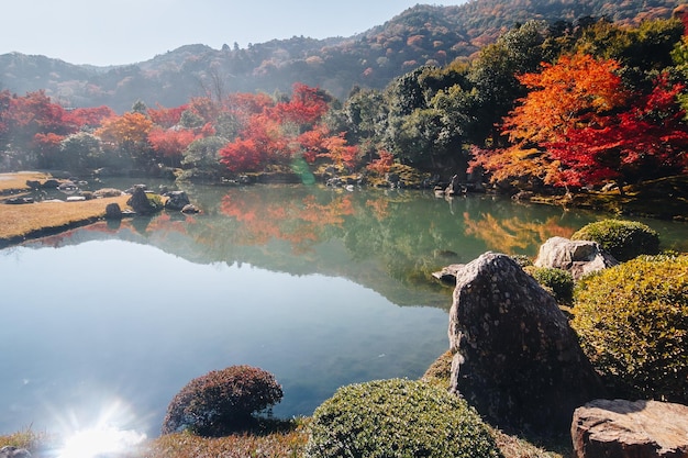 Foto schöner blick auf den see durch bäume im herbst