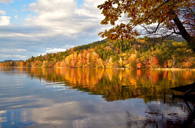 Schöner Blick auf den See gegen den Himmel im Herbst