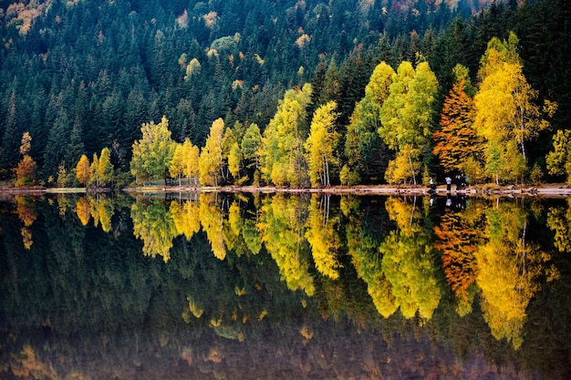 Schöner Blick auf den See im Wald im Herbst