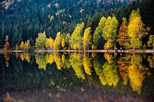 Foto schöner blick auf den see im wald im herbst