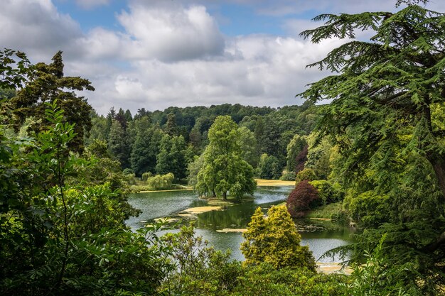 Foto schöner blick auf den see inmitten der bäume gegen den himmel