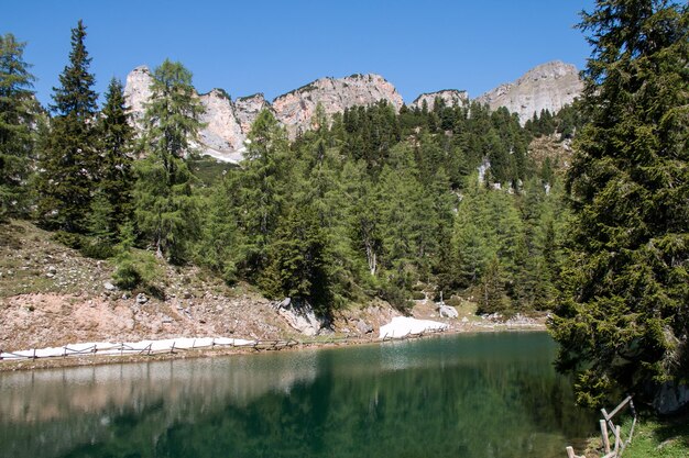 Schöner Blick auf den See und die Bäume gegen den Himmel