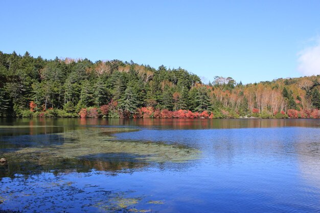 Schöner Blick auf den See vor dem blauen Himmel