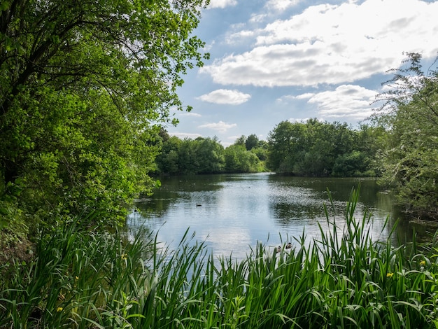 Schöner Blick auf den See vor einem bewölkten Himmel