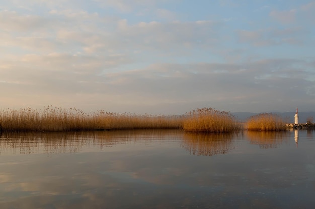 Foto schöner blick auf den see vor einem bewölkten himmel