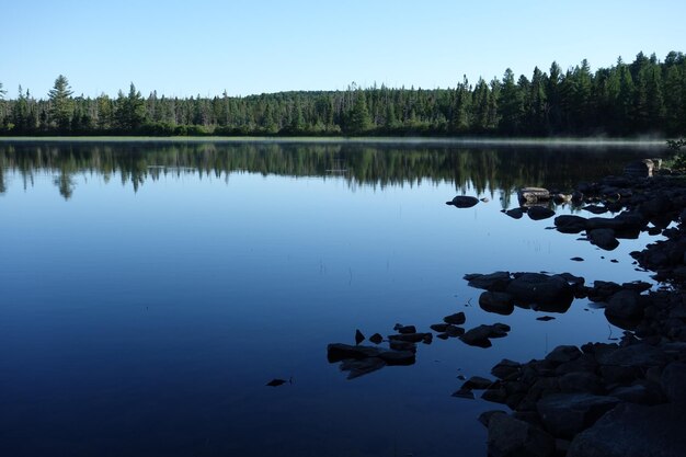 Foto schöner blick auf den see vor klarem blauen himmel