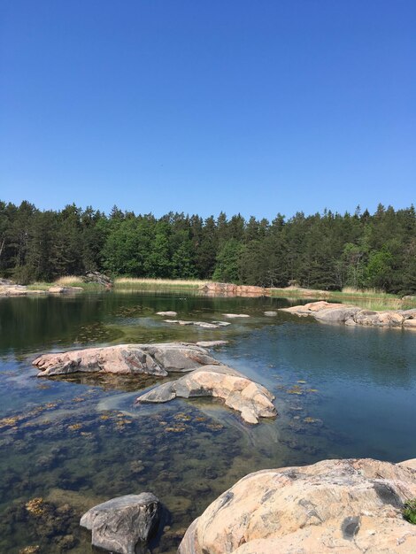 Schöner Blick auf den See vor klarem blauen Himmel