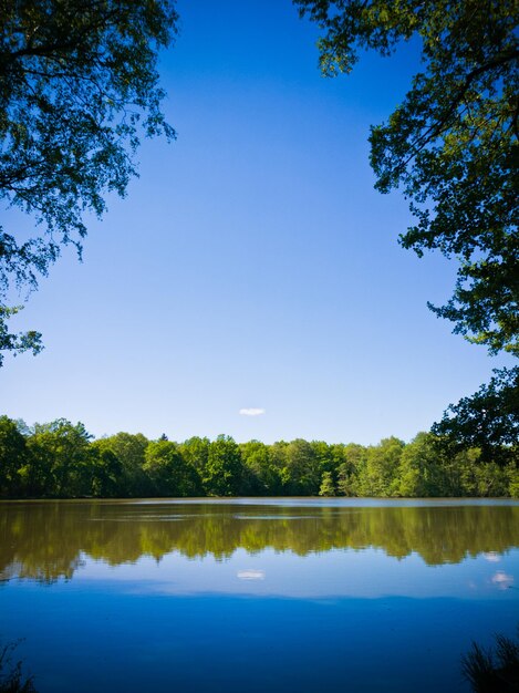 Foto schöner blick auf den see vor klarem blauen himmel