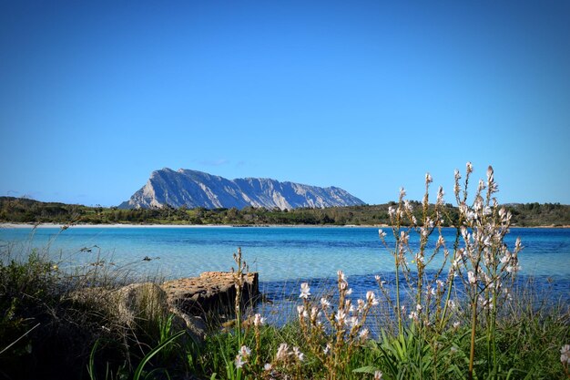 Foto schöner blick auf den see vor klarem blauen himmel