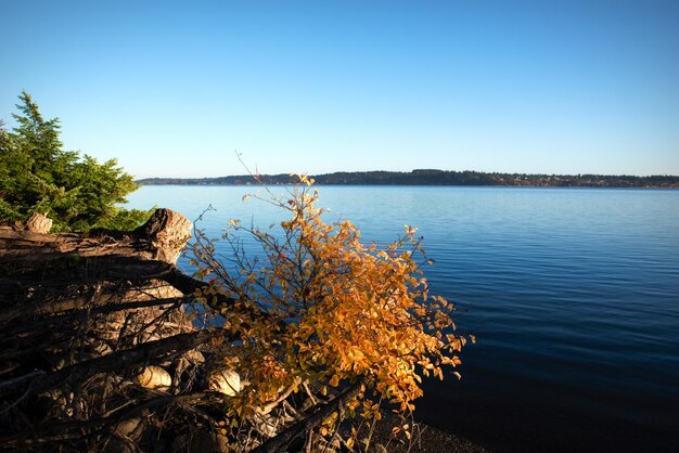 Foto schöner blick auf den see vor klarem blauen himmel