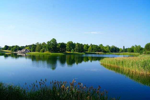 Schöner Blick auf den See vor klarem Himmel