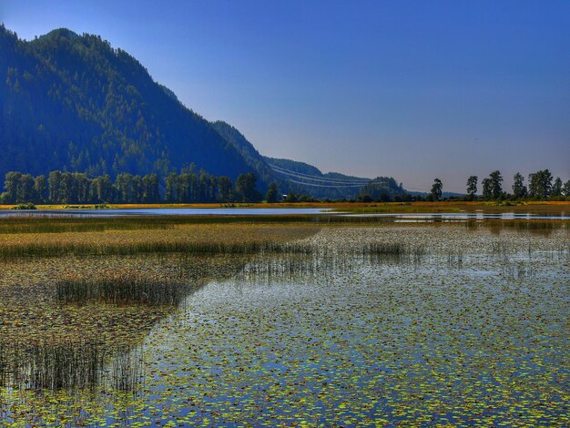 Foto schöner blick auf den see vor klarem himmel