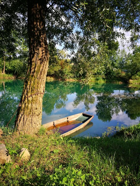 Foto schöner blick auf den see