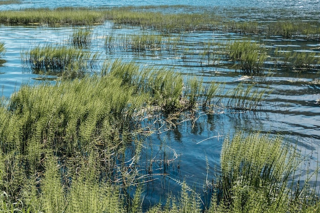 Foto schöner blick auf den see