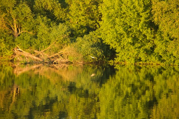 Foto schöner blick auf den see