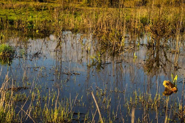 Schöner Blick auf den See